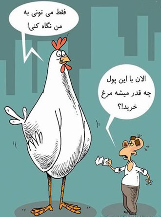 کاریکاتور گرانی مرغ