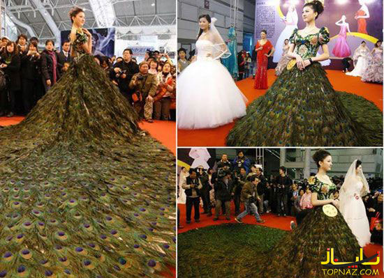 عجیب ترین لباس عروس های جهان 2