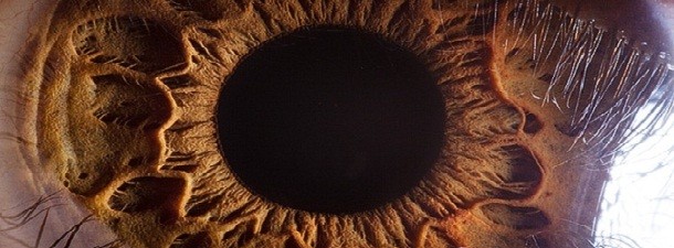 چشم انسان