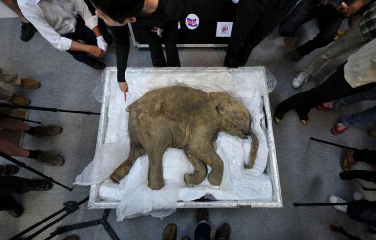 The Best Pics of 2012 (59 photos)