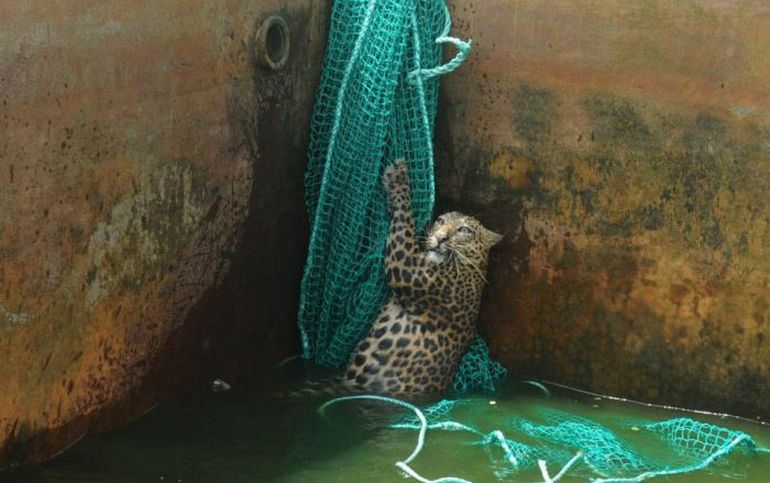 The Best Pics of 2012 (59 photos)