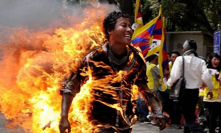 The Best Pics of 2012 (59 photos)