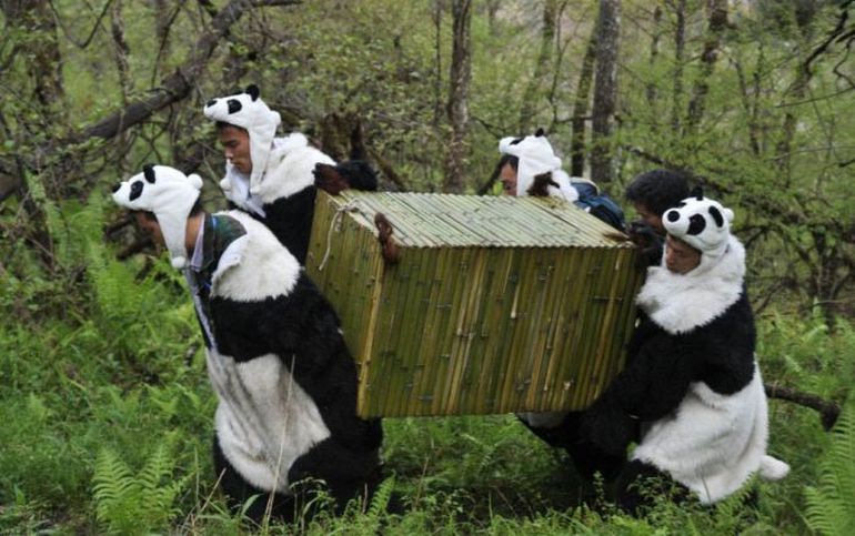 The Best Pics of 2012 (59 photos)