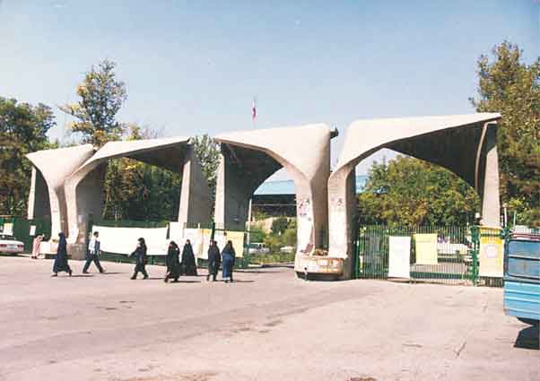 دانشگاه های برتر