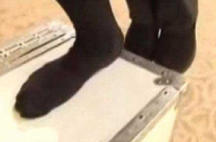  بیوگرافی کریس انجل, زندگی نامه کریس آنجل