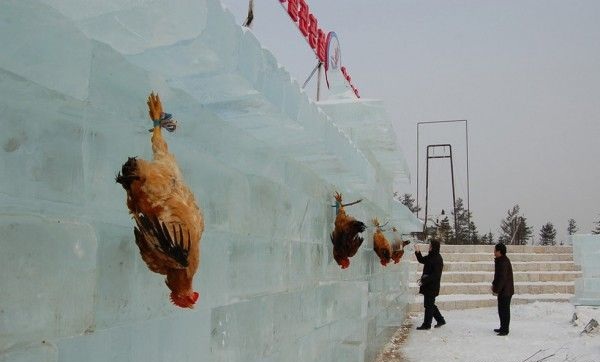 فستیوال یخ چین