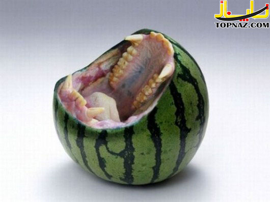 تصاویر دیدنی