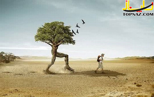 عکس های زیبا و دیدنی