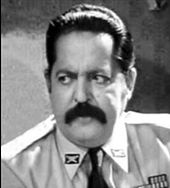 سرکار استوار