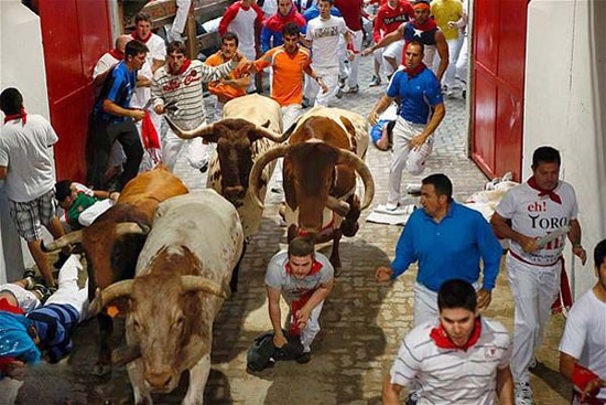 bartarinha.ir bartarinha.ir