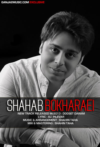 Shahab Bokharaei