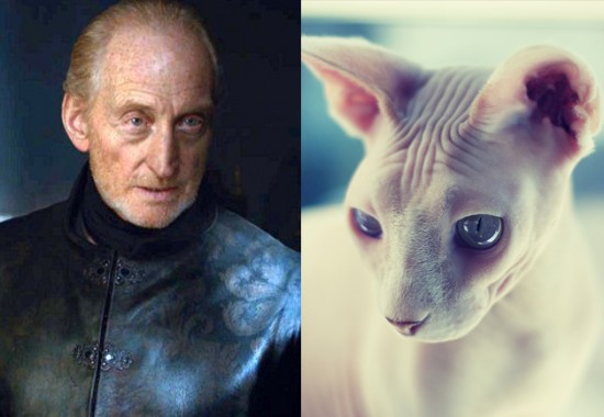 Game-Of-Thrones-Characters-as-Cats-7-550x380.jpg