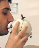 بوسه, لب گرفتن