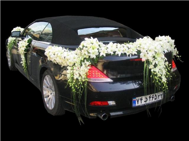 golzani mashini,axe model mashin aroosi,ماشین عروس 2014، تزئین و گلکاری و گلزنی ماشین عروسی,عروس سایت