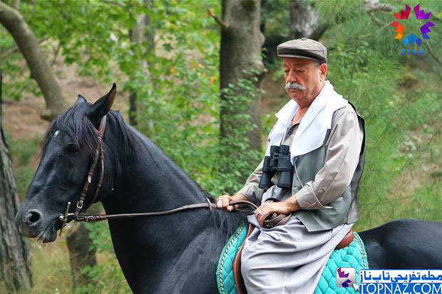 سریال دیلا خانم سریال دیلا خانم