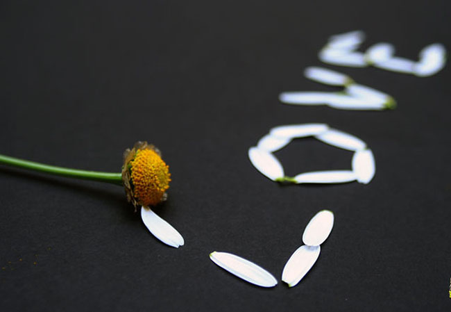 عکش عاشقانه, عکس عشق