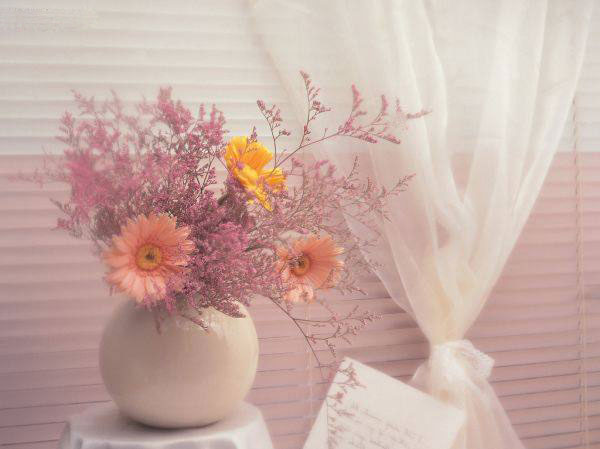 عکس گل های زیبا