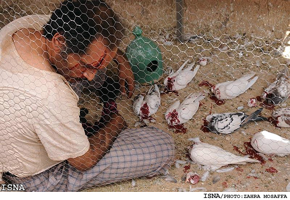 پشت صحنه سریال سرزمین كهن پشت صحنه سریال سرزمین كهن