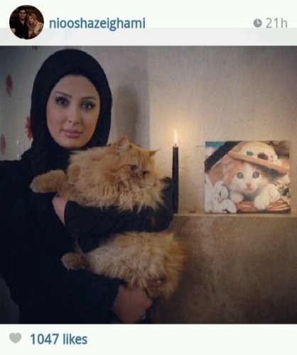 عکس نیوشا ضیغمی گربه اش عکس نیوشا ضیغمی گربه اش