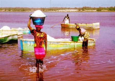 دریاچه صورتی,دریاچه رتبا,تصاویر دریاچه صورتی در آفریقا