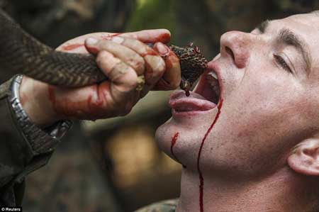 تصاویر سربازان در حال خوردن خون مار و عقرب!