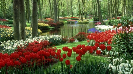 زیباترین فضای سبز جهان,زیباترین پارکهای جهان,قشنگتربن پارکهای دنیا