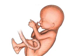 دلیل لگد زدن جنین چیست؟
