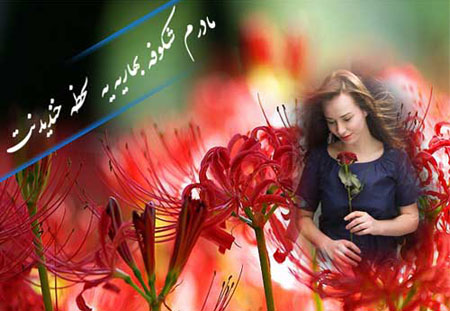 کارت پستال روز مادر, کارت تبریک روز مادر کارت پستال روز مادر, کارت تبریک روز مادر
