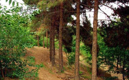 پارک‌های جنگلی ایران