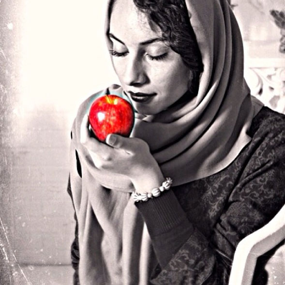ترلان پروانه ترلان پروانه