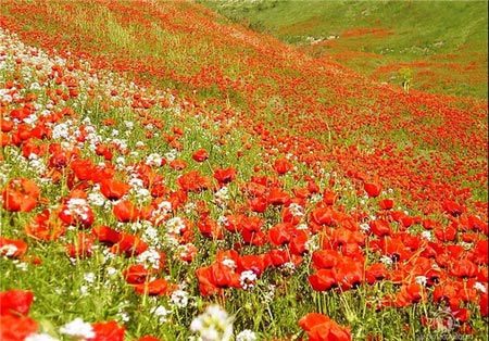 عکس های دیدنی از طبیعت زیبای تاجیکستان