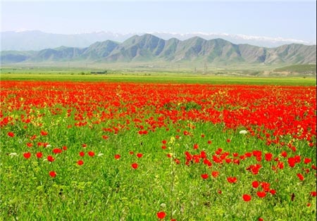 عکس های دیدنی از طبیعت زیبای تاجیکستان