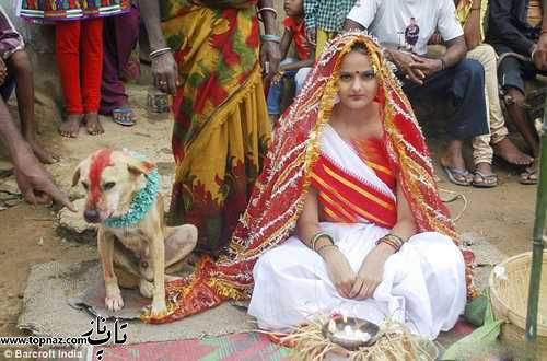 ازدواج دختر جوان هندی با سگ! 