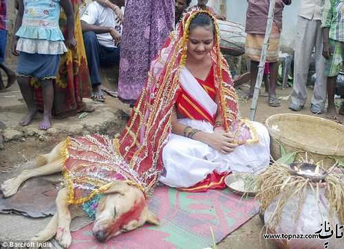ازدواج دختر جوان هندی با سگ! 