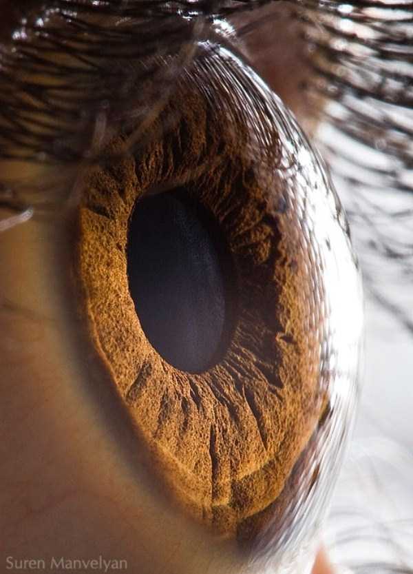 عکس چشم انسان, تصاویر زیبای چشم