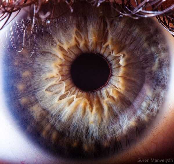 عکس چشم انسان, تصاویر زیبای چشم