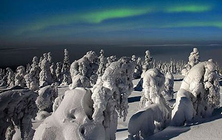 عکس های جنگل یخ زده (زادگاه بابانوئل) فنلاند