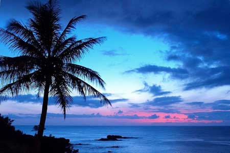 عکس های جزیره مائویی، زیباترین جزیره جهان