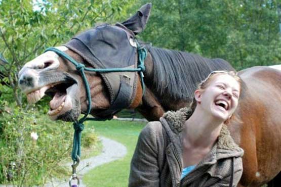 عکس های سلفی خنده دار و بامزه با حیوانات