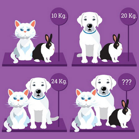 تست هوش : پیدا کردن وزن حیوانات