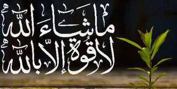 چشم زخم چشم زخم