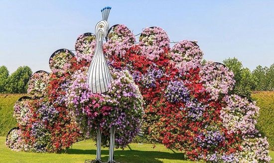 عکس های انرژی بخش زیباترین باغ های گل دنیا