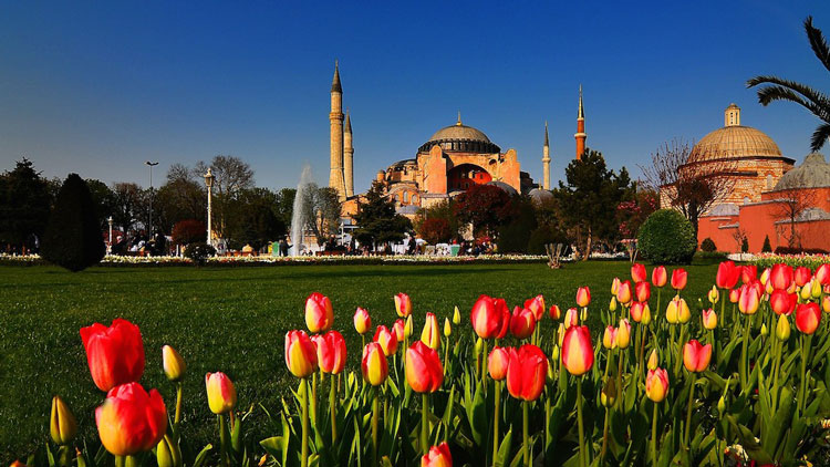 گل لاله در ترکیه