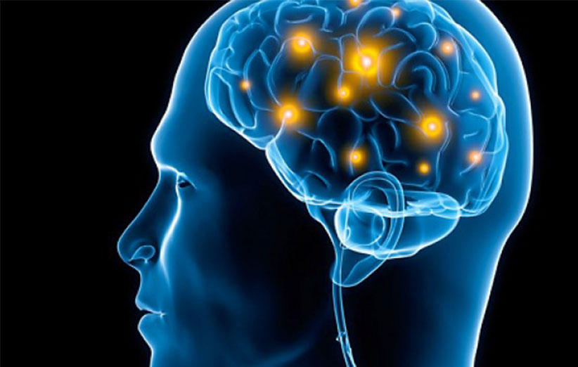 حافظه مغز انسان چند گیگابایت، ترابایت یا پتابایت است؟!