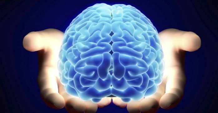 چند درصد از مغز در سن 80 سالگی از بین می رود؟!