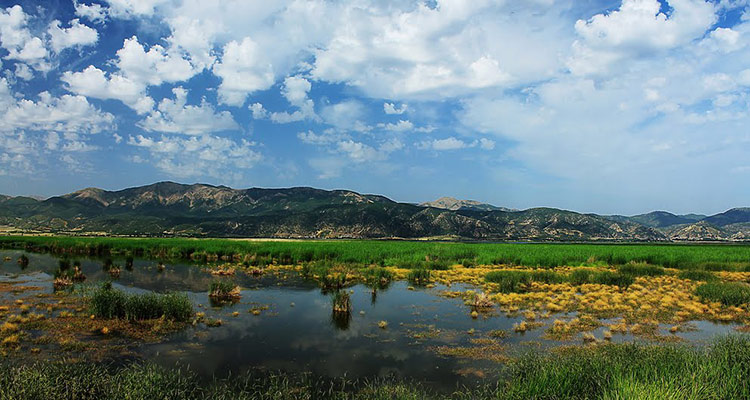 راهنمای سفر نوروزی به استان کردستان دریاچه زریوا ر