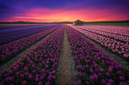عکس های زیبا و خارق العاده از کشور هلند