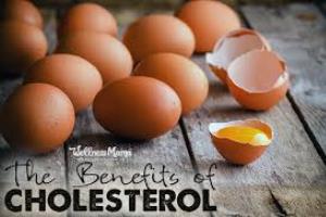 کلسترول بد LDL باعث پیشگیری در مقابل سرطان و آلزایمر می شود!