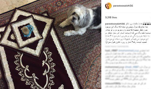 عکس جنجالی نماز خواندن پرستو صالحی کنار سگ!