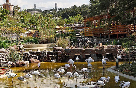  باغ پرندگان تهران؛ طبیعت بکر پایتخت
